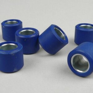 Rollers Piaggio - GTS V (300cc) (21x17mm-12.0g) (x6 Rollers)